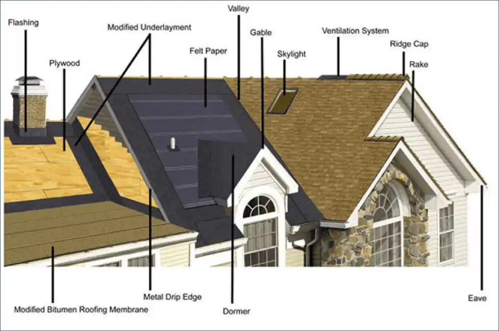 Residential Roofing Parts Infograph